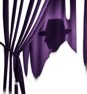 curtainzorix.net